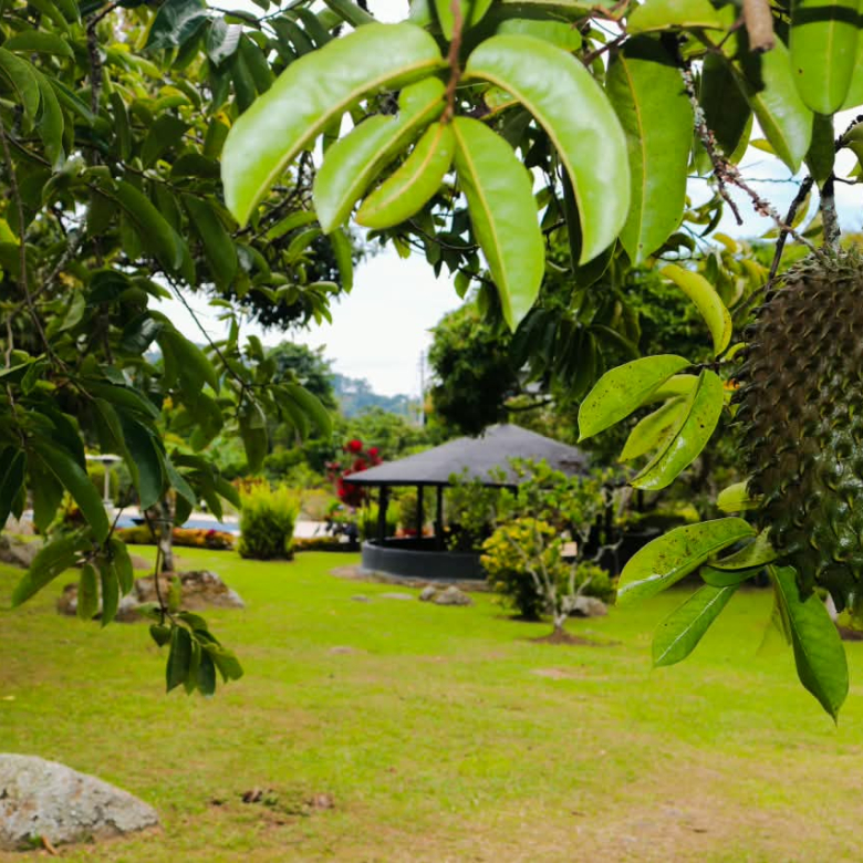Finca en Venta, CACHIPAY “AMOBLADA”