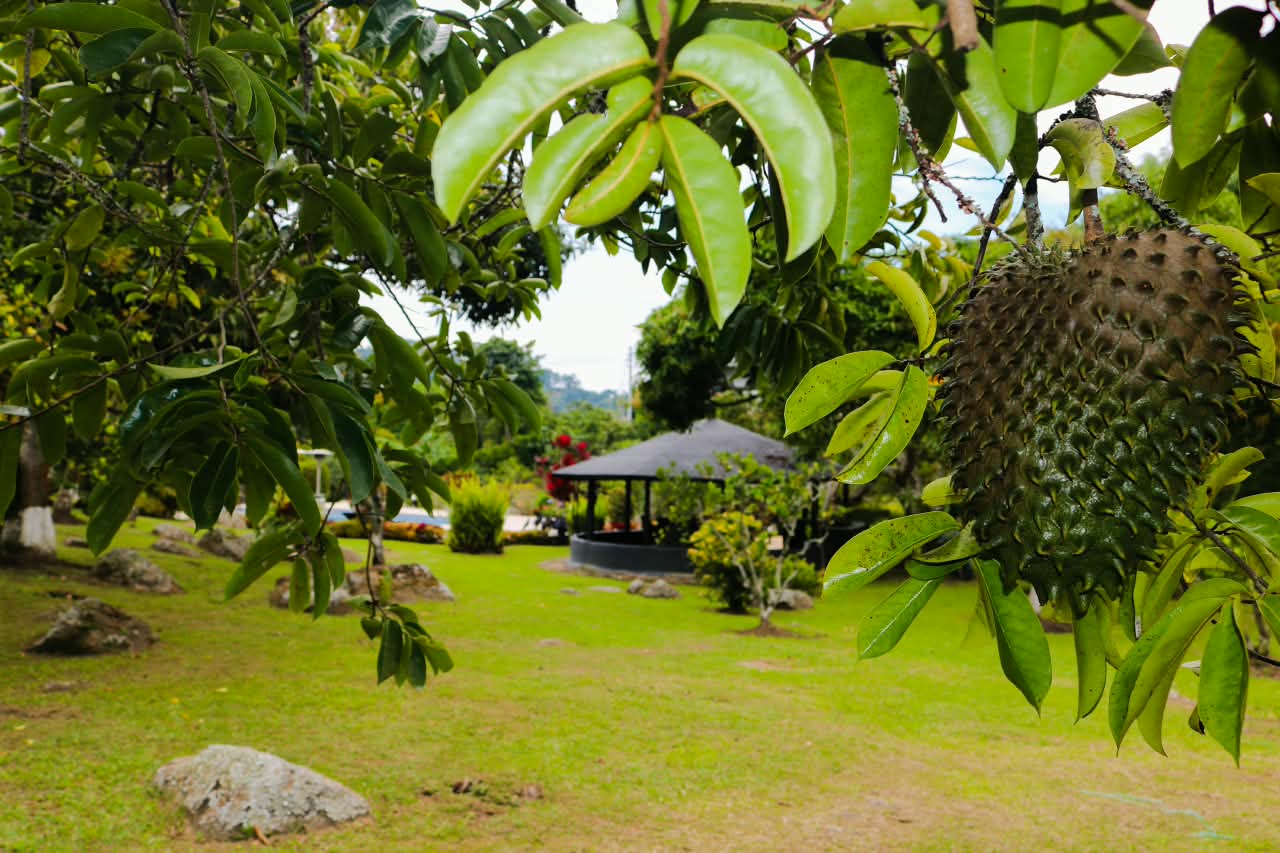 Finca en Venta, CACHIPAY “AMOBLADA”