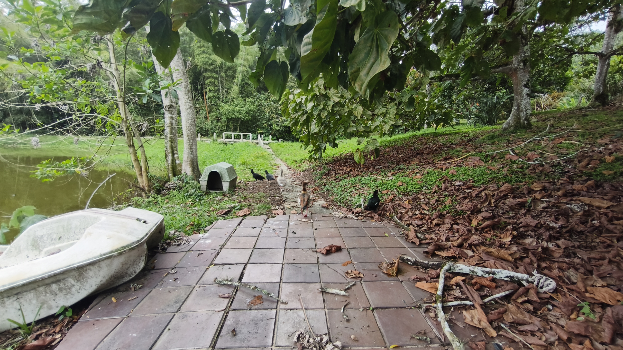 Venta de la emblemática Hacienda Las Mesitas de Santa Inés en Cachipay (160 Ha). Casona colonial, lago y alto potencial ecoturístico e inmobiliario.