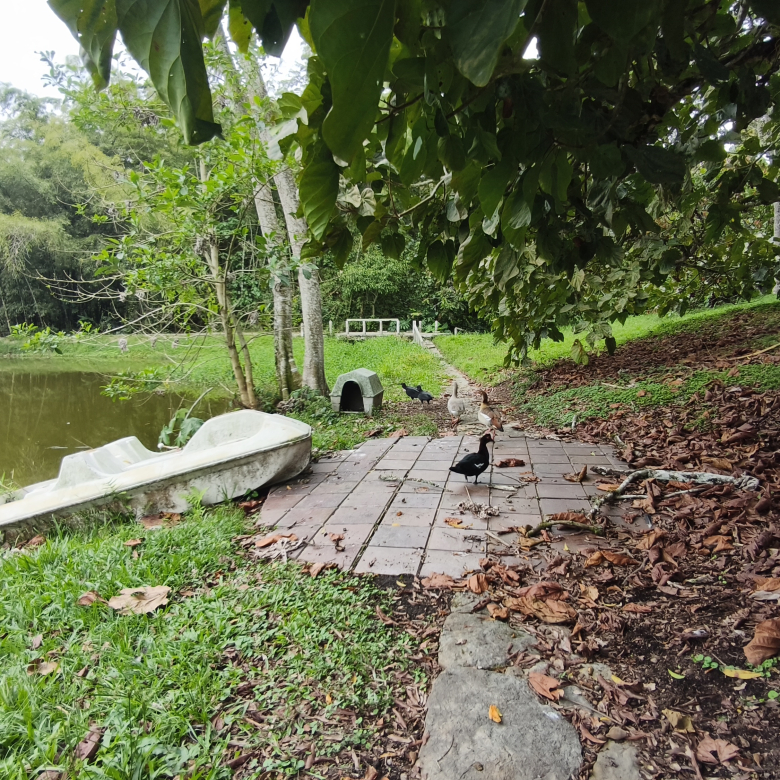 Venta de la emblemática Hacienda Las Mesitas de Santa Inés en Cachipay (160 Ha). Casona colonial, lago y alto potencial ecoturístico e inmobiliario.