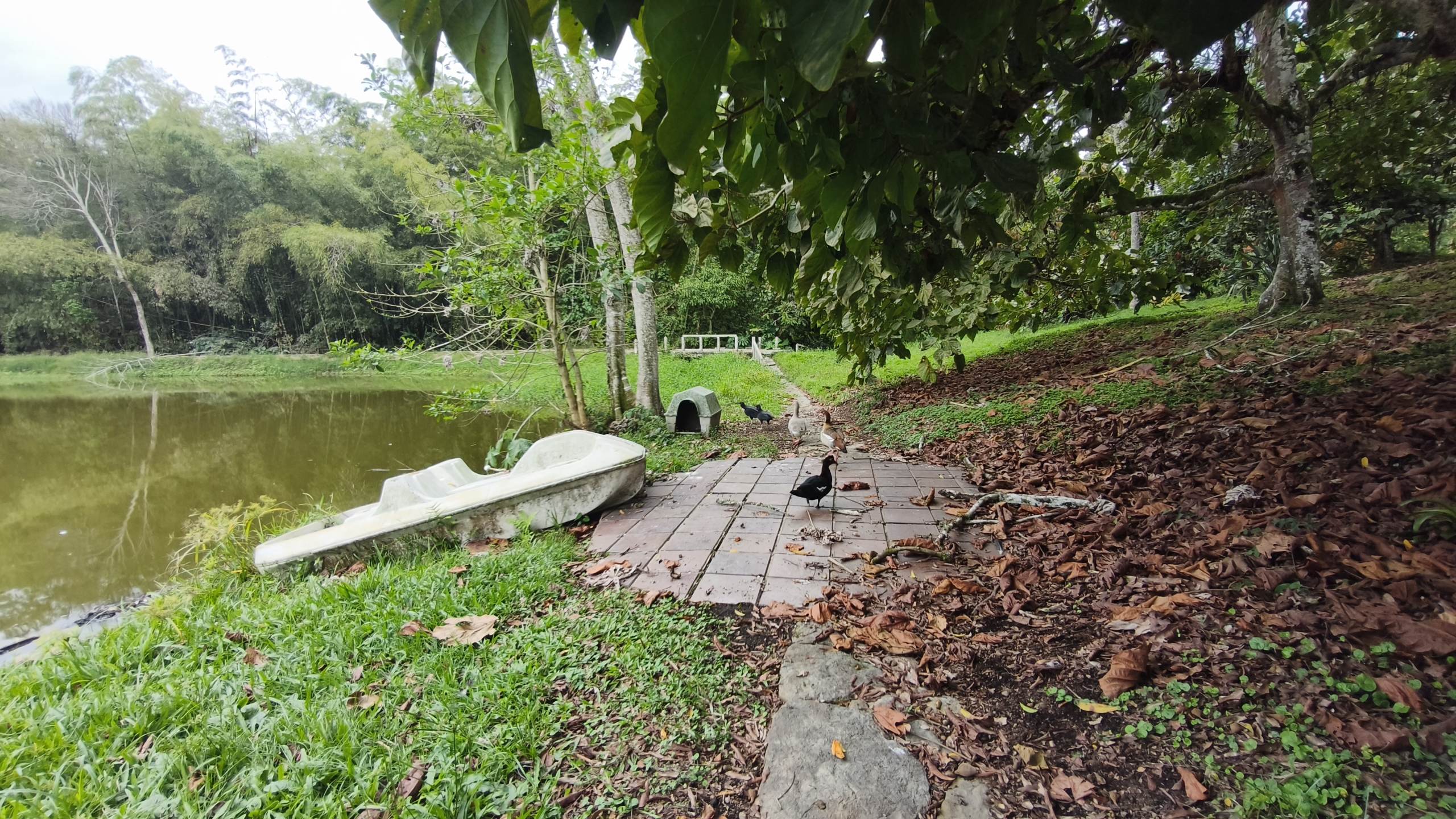 Venta de la emblemática Hacienda Las Mesitas de Santa Inés en Cachipay (160 Ha). Casona colonial, lago y alto potencial ecoturístico e inmobiliario.