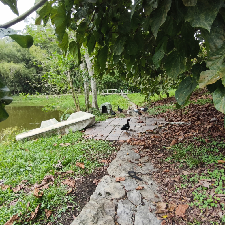 Venta de la emblemática Hacienda Las Mesitas de Santa Inés en Cachipay (160 Ha). Casona colonial, lago y alto potencial ecoturístico e inmobiliario.
