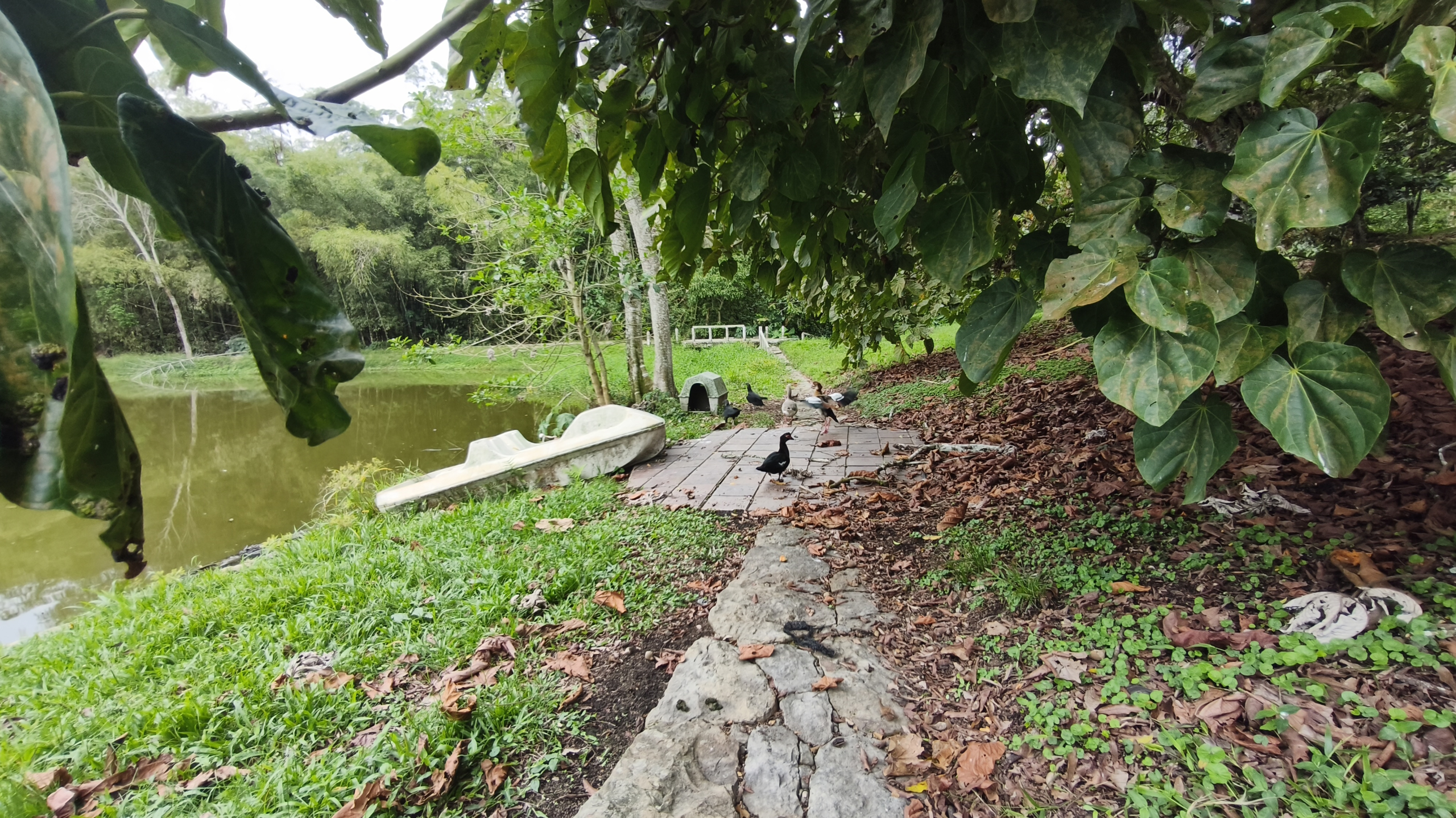 Venta de la emblemática Hacienda Las Mesitas de Santa Inés en Cachipay (160 Ha). Casona colonial, lago y alto potencial ecoturístico e inmobiliario.